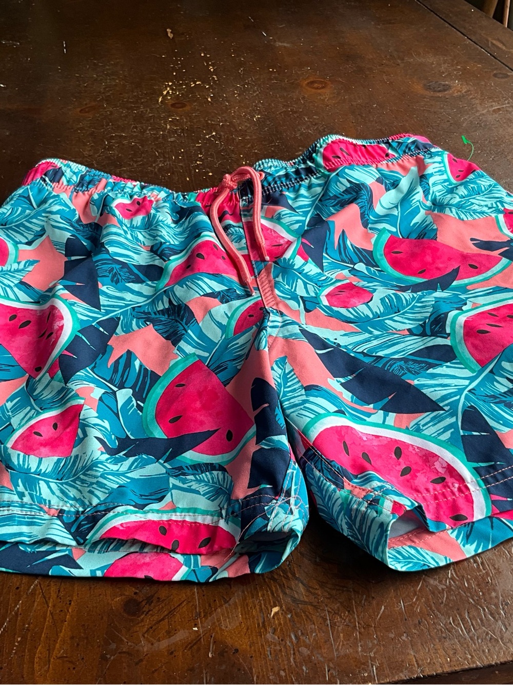 Men’s size large swim trunks